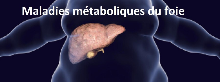 Maladies métaboliques du foie